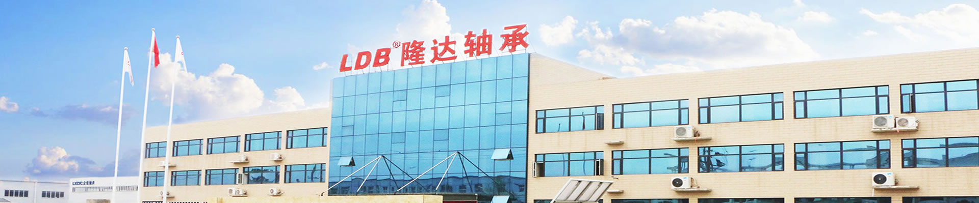 洛陽(yáng)隆達(dá)軸承有限公司